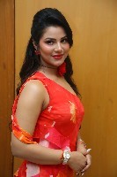 Actress Preety Kongana Photos